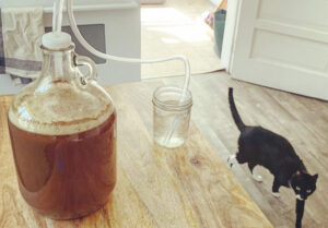 fermentation at home, recipe, ale, beer