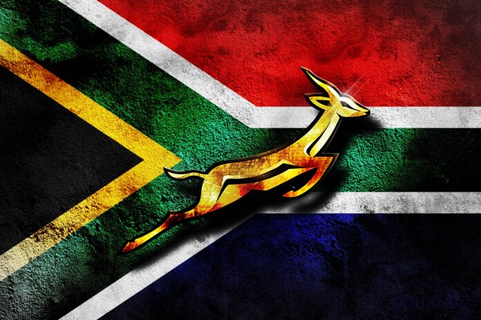 Springbok, rugby, world cup, champagne, beer