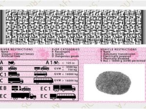 Driver's licence