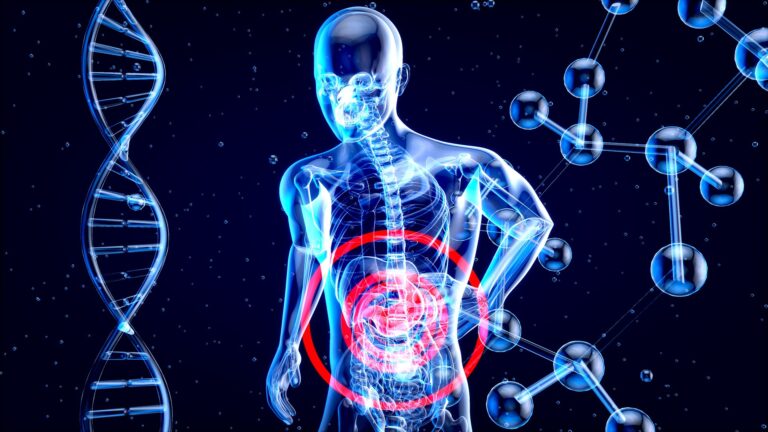 bacteria diversity is seen through calorie restriction and fasting