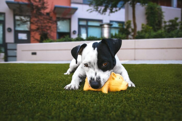 fake grass the climate emergency