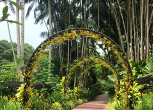 botanical gardens in singapore, UNESCO